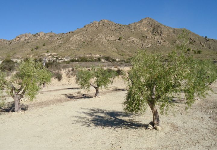 Tomt i Abanilla, Murcia, Abanilla - € 82 995 | Ref: 44064c2603-SS - foto 1