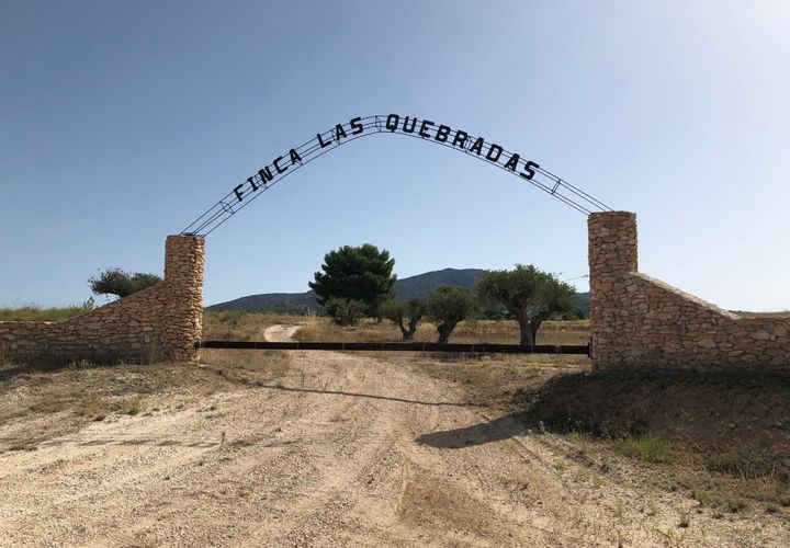 Helårsgrund i Yecla, Murcia, Yecla - € 623.000 | Ref: 44058c2603-SS - foto 1