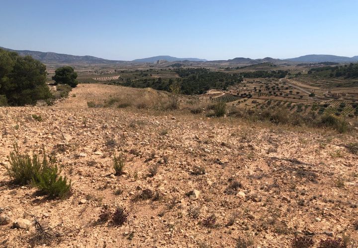 Terra a La Zarza, Murcia, La Zarza - € 59.900 | Ref: 44050c2603 - foto 1