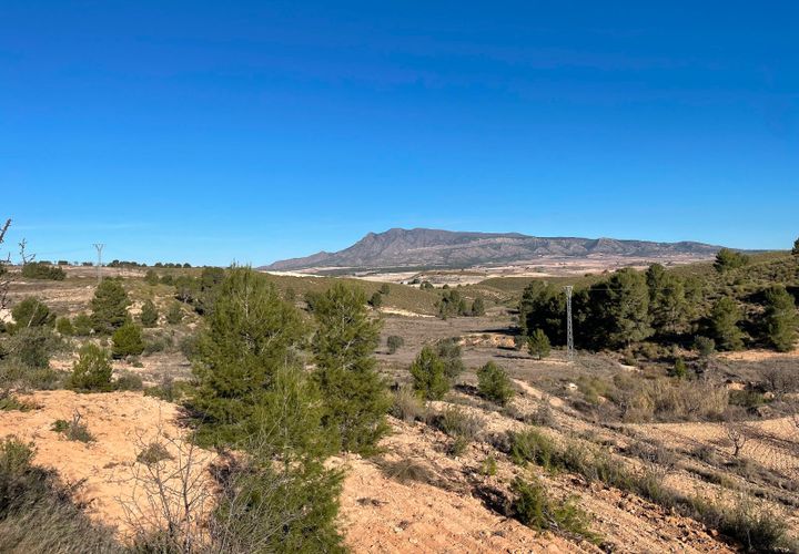 Terra a La Zarza, Murcia, La Zarza - € 34.900 | Ref: 44034c2603 - foto 1
