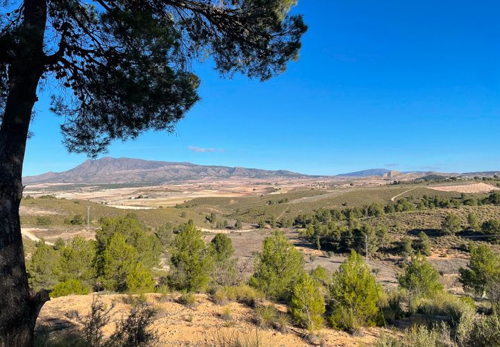 Terra a La Zarza, Murcia, La Zarza - € 34.900 | Ref: 44033c2603 - foto 1