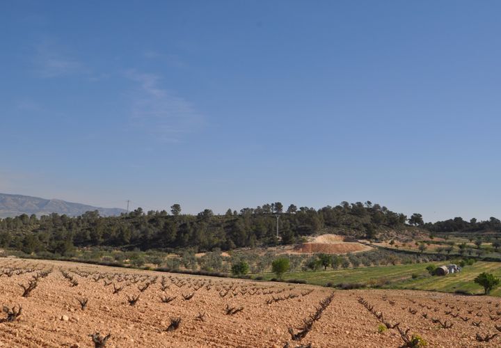 Terra a La Zarza, Murcia, La Zarza - € 59.900 | Ref: 44022c2603 - foto 1