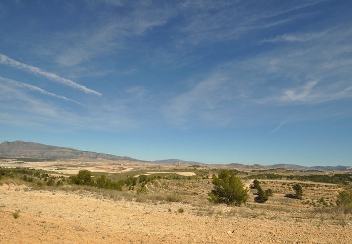 Terra a La Zarza, Murcia, La Zarza - € 39.900 | Ref: 44021c2603 - foto 1