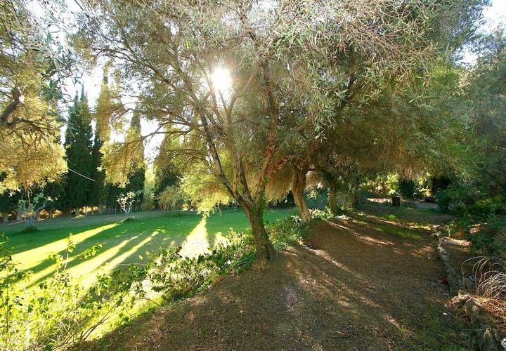 Tomt i Mijas, Malaga, Mijas - € 650 000 | Ref: ES72567A - foto 1