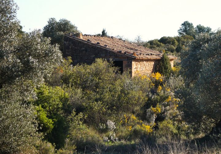 Finca i Fabara, Zaragoza, Fabara - € 15 500 | Ref: 1114 - foto 1