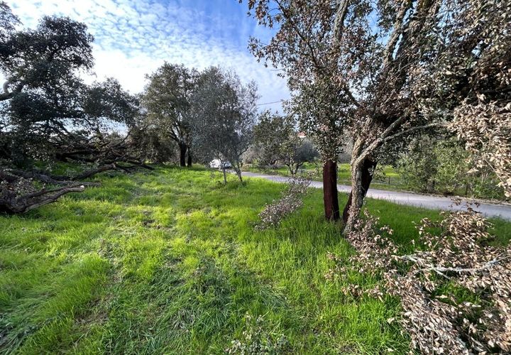 Helårsgrund i Tomar, Santarem, Tomar - € 27.500 | Ref: A092026 - foto 1