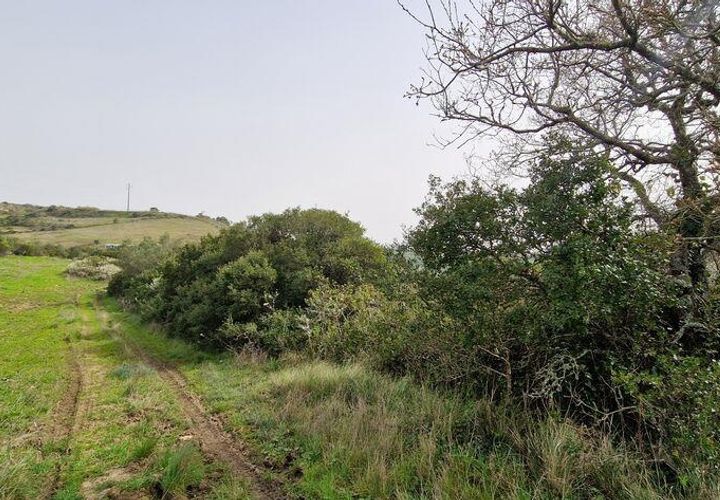 Terra a Mafra, Lisbon, Mafra - € 98.000 | Ref: 845206 - foto 1