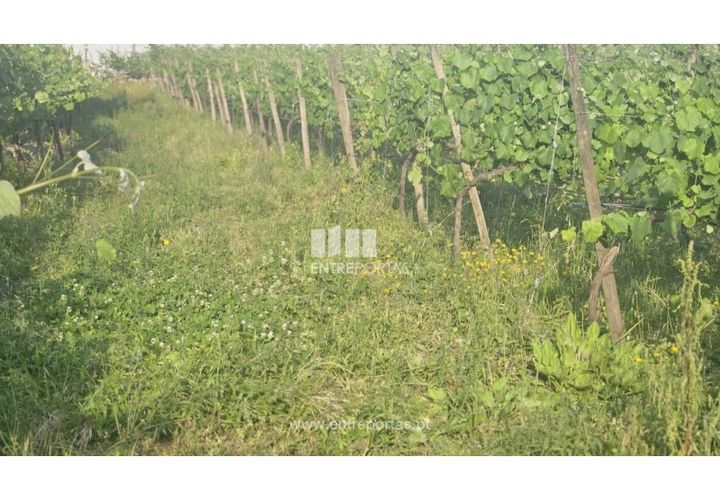 Helårsgrund i Moncao, Viana do Castelo, Moncao - € 493.500 | Ref: C02910 - foto 1