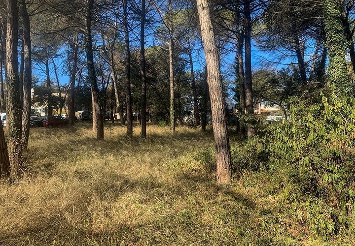 Terra a Vacarisses, Barcelona, Vacarisses - € 110.000 | Ref: EXP13660/8930 - foto 1