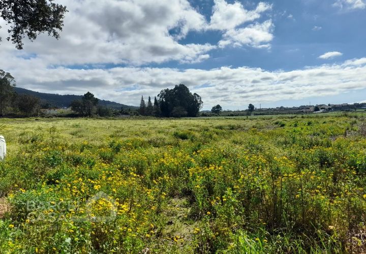 Terra a Gilmonde, Braga, Gilmonde - € 47.500 | Ref: 71/26 - foto 1