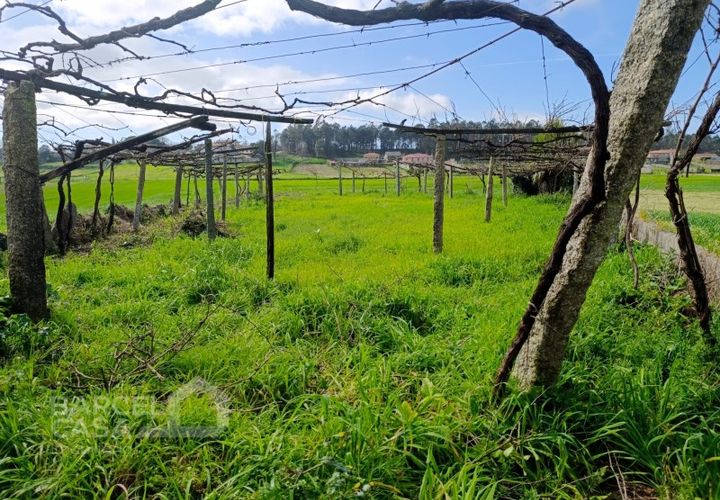 Helårsgrund i Cristelo, Braga, Cristelo - € 15.000 | Ref: 69/26 - foto 1