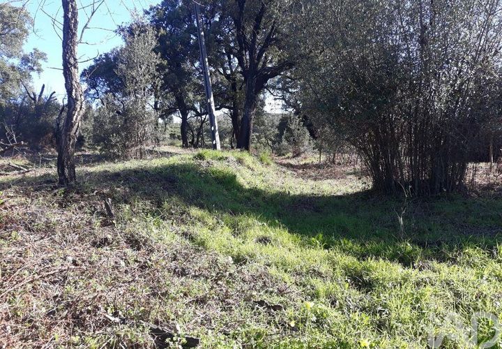 Terra a Monchique, Faro, Monchique - € 17.000 | Ref: 849223 - foto 1