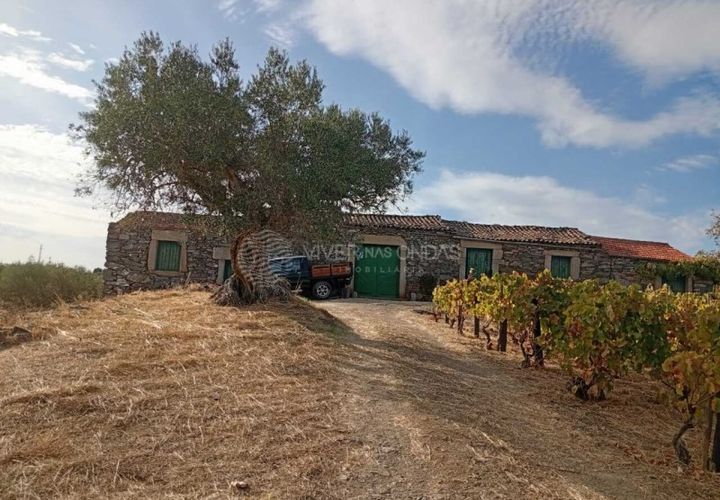Gård i Tabuaco, Viseu, Tabuaco - € 355 000 | Ref: MF-RMR - foto 1