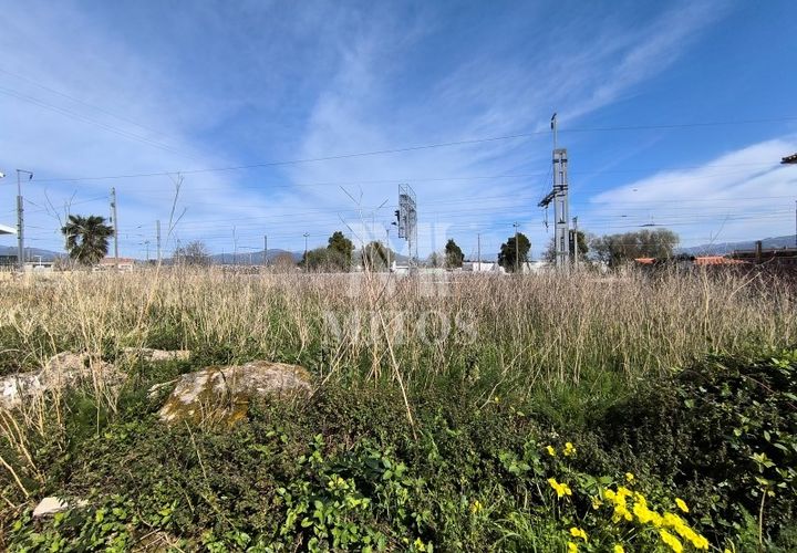 Terra a Darque, Viana do Castelo, Darque - € 97.000 | Ref: D420 - foto 1
