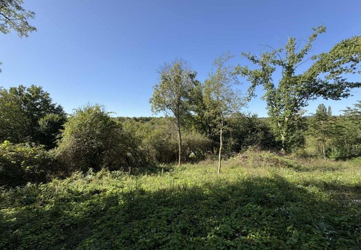 Terra a Le Menoux, Indre, Le Menoux - € 12.500 | Ref: 360021882 - foto 1
