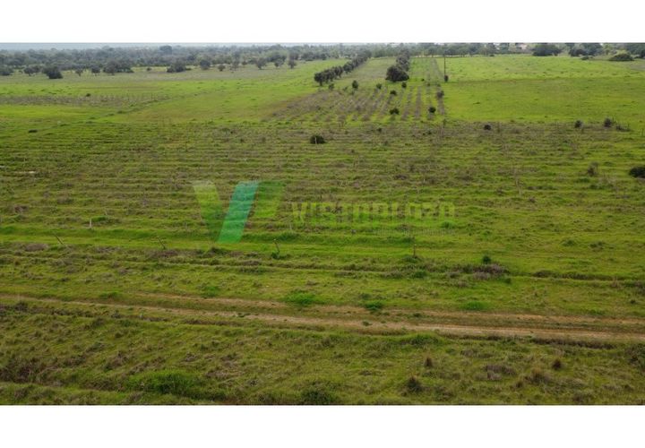 Helårsgrund i Paderne, Faro, Paderne - € 40.000 | Ref: LT-7238 - foto 1