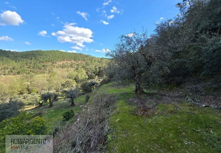 Helårsgrund i Castelo Branco, Castelo Branco, Castelo Branco - € 24.000 | Ref: SÒL_250RS150326 - foto 1