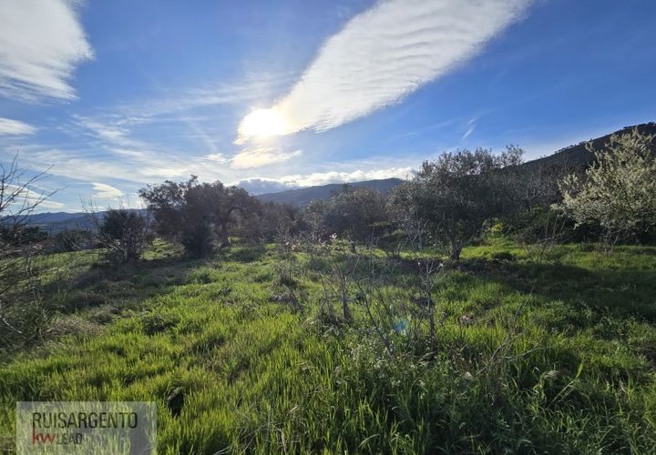 Terra a Alpedrinha, Castelo Branco, Alpedrinha - € 55.000 | Ref: SÒL_249RS140326 - foto 1