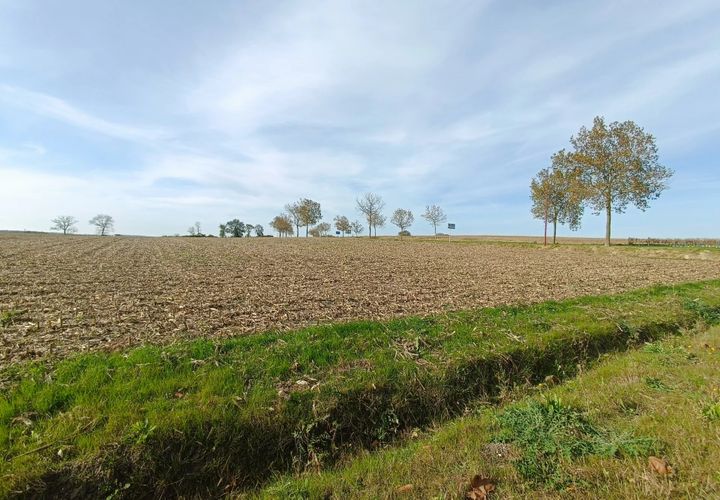 Terra a Mirambeau, Charente-Maritime, Mirambeau - € 161.250 | Ref: 12380 - foto 1