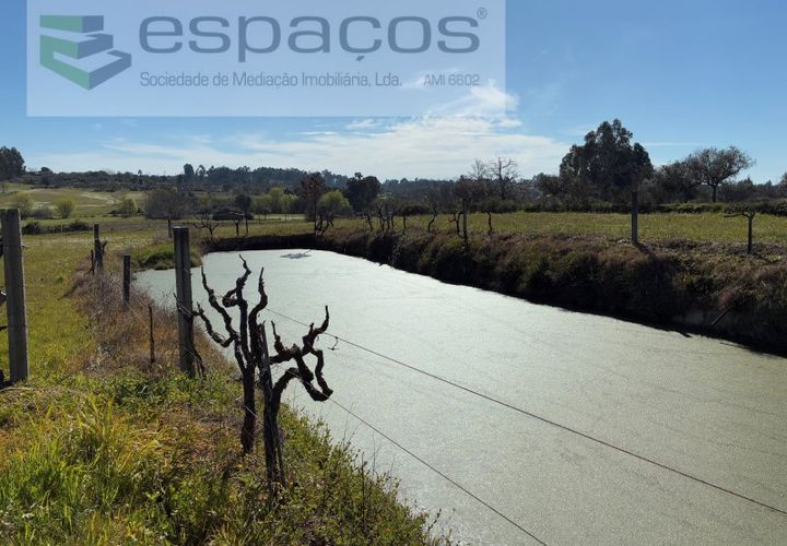 Terra a Fundao, Castelo Branco, Fundao - € 57.000 | Ref: 5560/CP-AF - foto 1