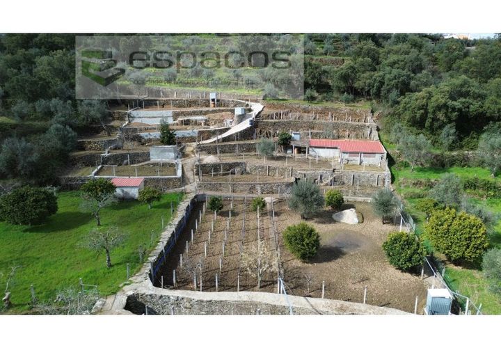 Farm i Castelo Branco, Castelo Branco, Castelo Branco - € 45.000 | Ref: 5747/FA-AC - foto 1