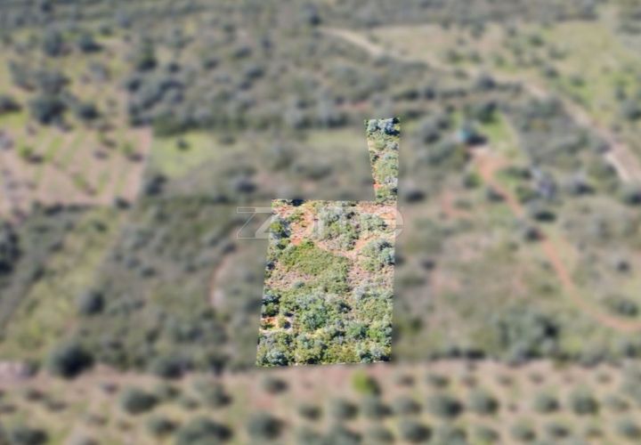 Helårsgrund i Silves, Faro, Silves - € 16.000 | Ref: ZMPT583959 - foto 1
