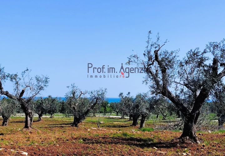 Helårsgrund i Carovigno, Brindisi, Carovigno - € 120.000 | Ref: 121673 - foto 1