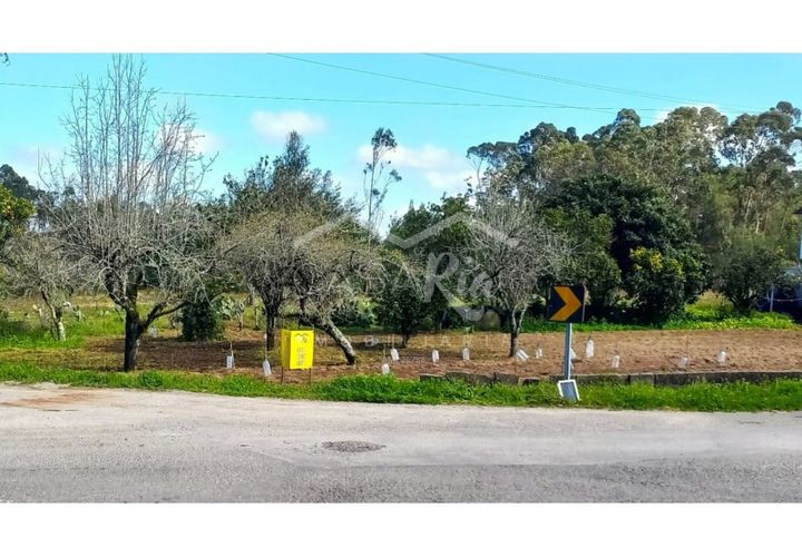 Terra em Arouca, Aveiro, Arouca - € 49.000 | Ref: CRAF1026 - foto 1