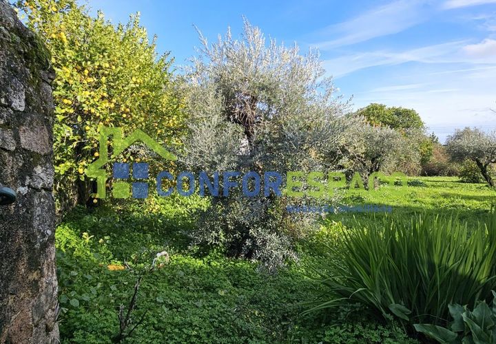 Landejendom i Castelo Branco, Castelo Branco, Castelo Branco - € 290.000 | Ref: 26020 - foto 1