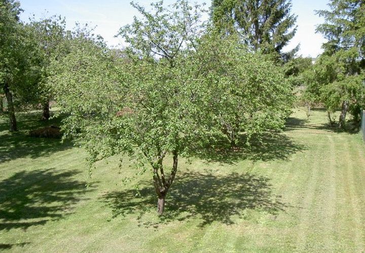 Terra a Esmans, Seine-et-Marne, Esmans - € 117.000 | Ref: 3011443314 - foto 1