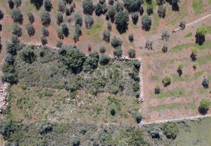 Grond in Silves, Faro, Silves - € 8.000 | Ref: ZMPT583960 - foto 1