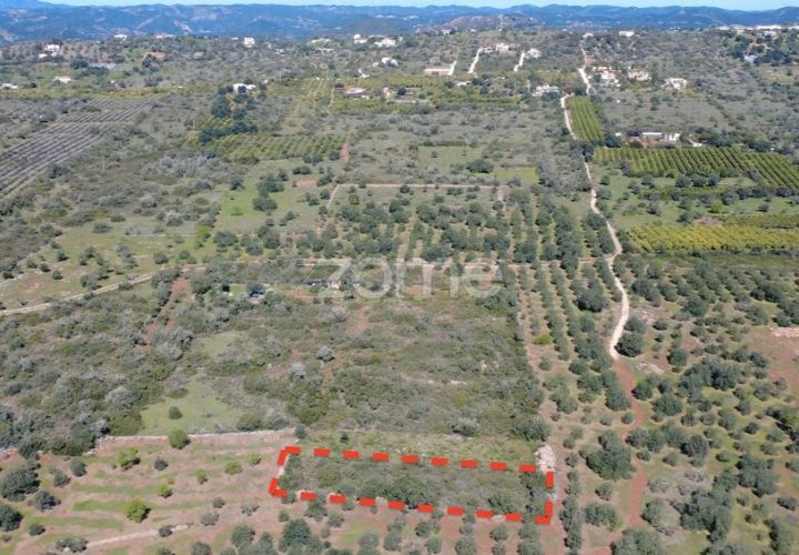 Helårsgrund i Silves, Faro, Silves - € 8.000 | Ref: ZMPT583960 - foto 1