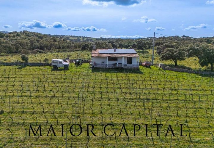 Terra a Oschiri, Sassari, Oschiri - € 129.000 | Ref: BEV-06-25 - foto 1