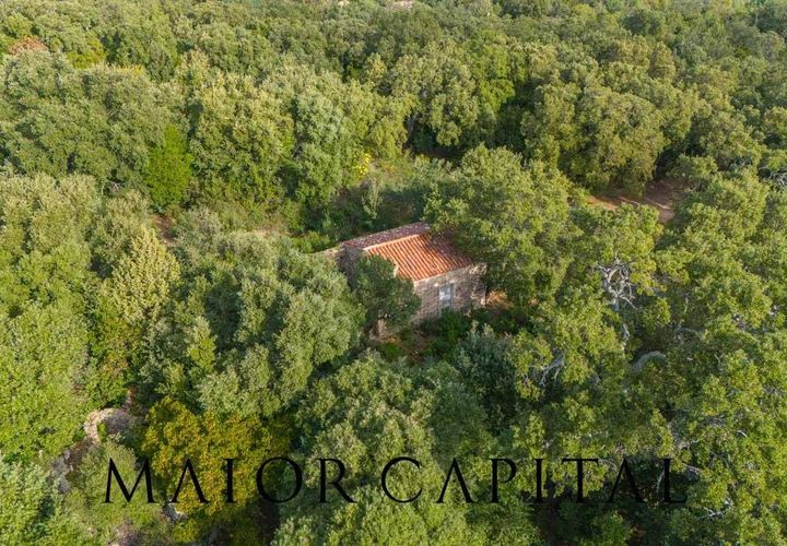 Terra a Calangianus, Sassari, Calangianus - € 150.000 | Ref: OLV-57-24 - foto 1