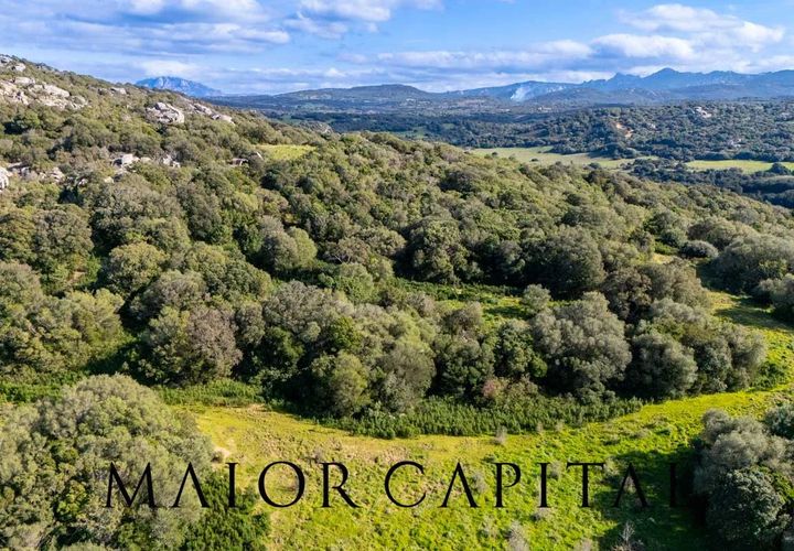 Helårsgrund i Arzachena, Sassari, Arzachena - € 175.000 | Ref: ARV-01-26 - foto 1