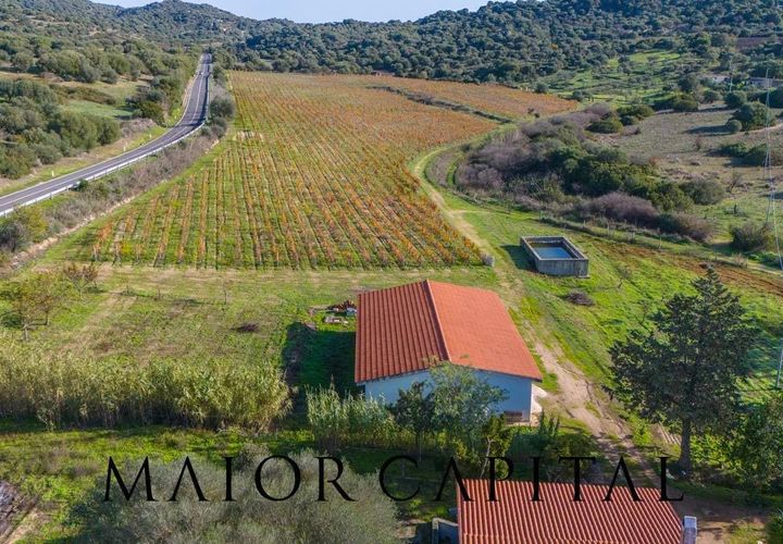 Tomt i Oliena, Nuoro, Oliena - € 449 000 | Ref: NUV-02-24 - foto 1
