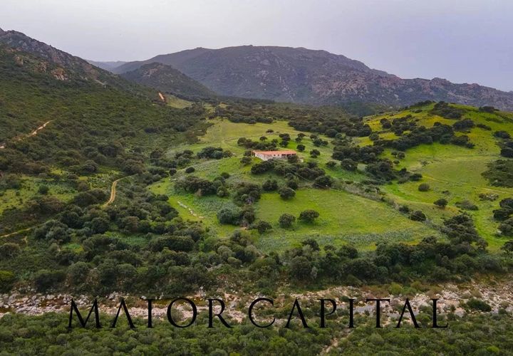 Helårsgrund i Berchidda, Sassari, Berchidda - € 720.000 | Ref: BEV-05-24 - foto 1