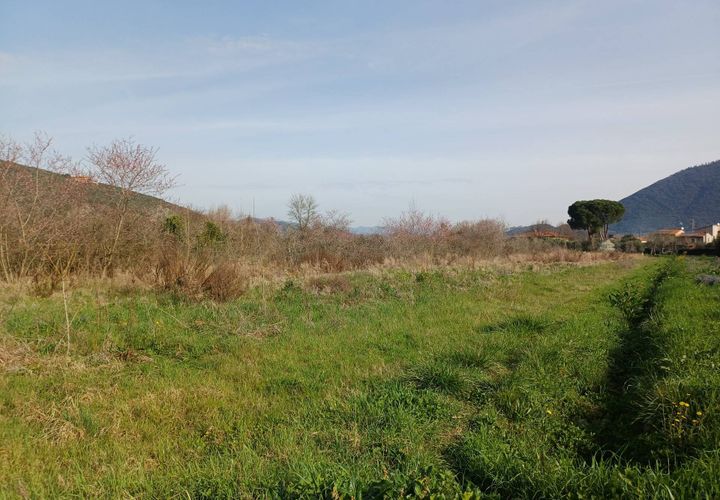 Terra a Vecchiano, Pisa, Vecchiano - € 11.000 | Ref: 2026073 - foto 1