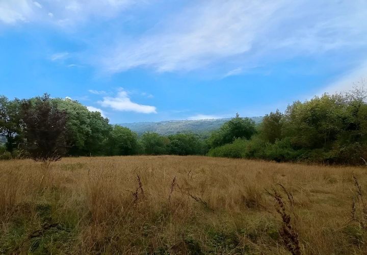 Terra a Carmaux, Tarn, Carmaux - € 28.000 | Ref: 0132E39E497E470A - foto 1