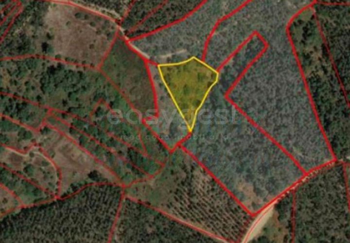 Helårsgrund i Serra, Santarem, Serra - € 20.000 | Ref: CB98887MA - foto 1