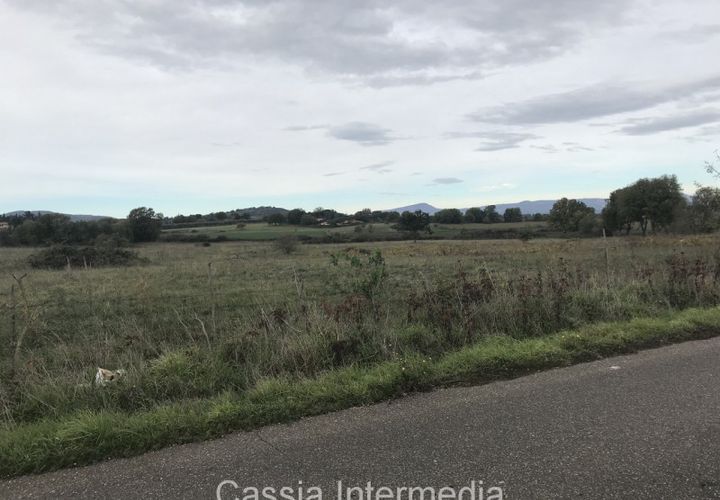 Terra a Nepi, Viterbo, Nepi - € 120.000 | Ref: Prato - foto 1