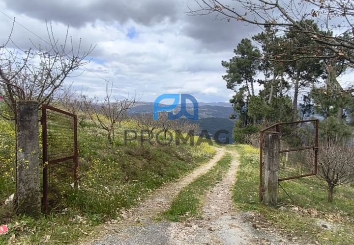 Terra a Resende, Viseu, Resende - € 55.000 | Ref: #278 - foto 1