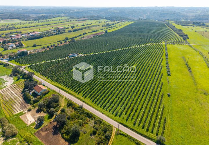 Helårsgrund i Santarem, Santarem, Santarem - € 650.000 | Ref: FR1091 - foto 1