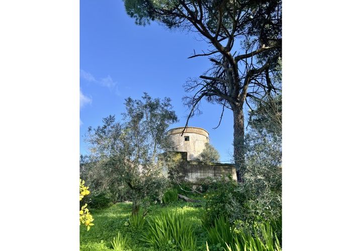 Farm i Evora, Evora, Evora - € 1.250.000 | Ref: JG2448 - foto 1