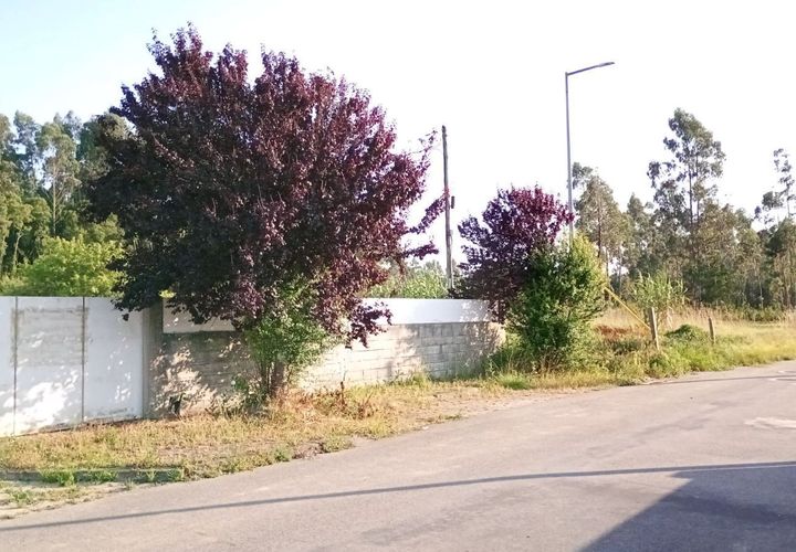Helårsgrund i Ovar, Aveiro, Ovar - € 89.000 | Ref: T-30409 - foto 1