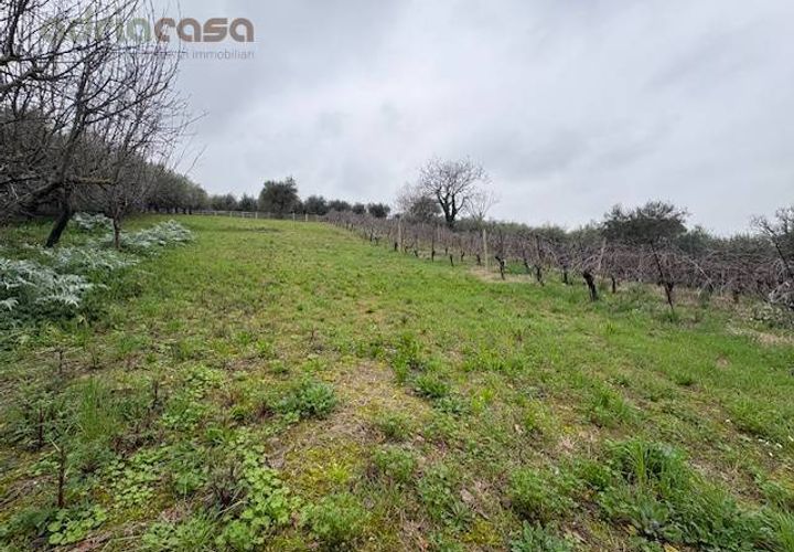 Terra a San Clemente, Rimini, San Clemente - € 60.000 | Ref: LC100 - foto 1