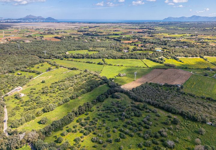 Terra a Muro, Mallorca, Muro - € 250.000 | Ref: 04DLAV002/3010 - foto 1