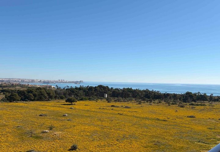 Lejlighed i Punta Prima, Alicante, Punta Prima - € 235.000 | Ref: CSPX-62573 - foto 1