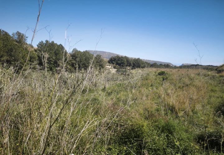Helårsgrund i Teulada, Alicante, Teulada - € 106.000 | Ref: P219 - foto 1