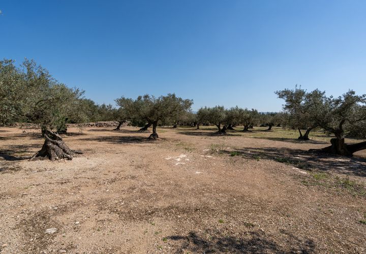 Finca i Roquetes, Tarragona, Roquetes - € 19.000 | Ref: 342 - foto 1